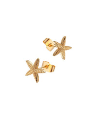 Starfish stud earrings